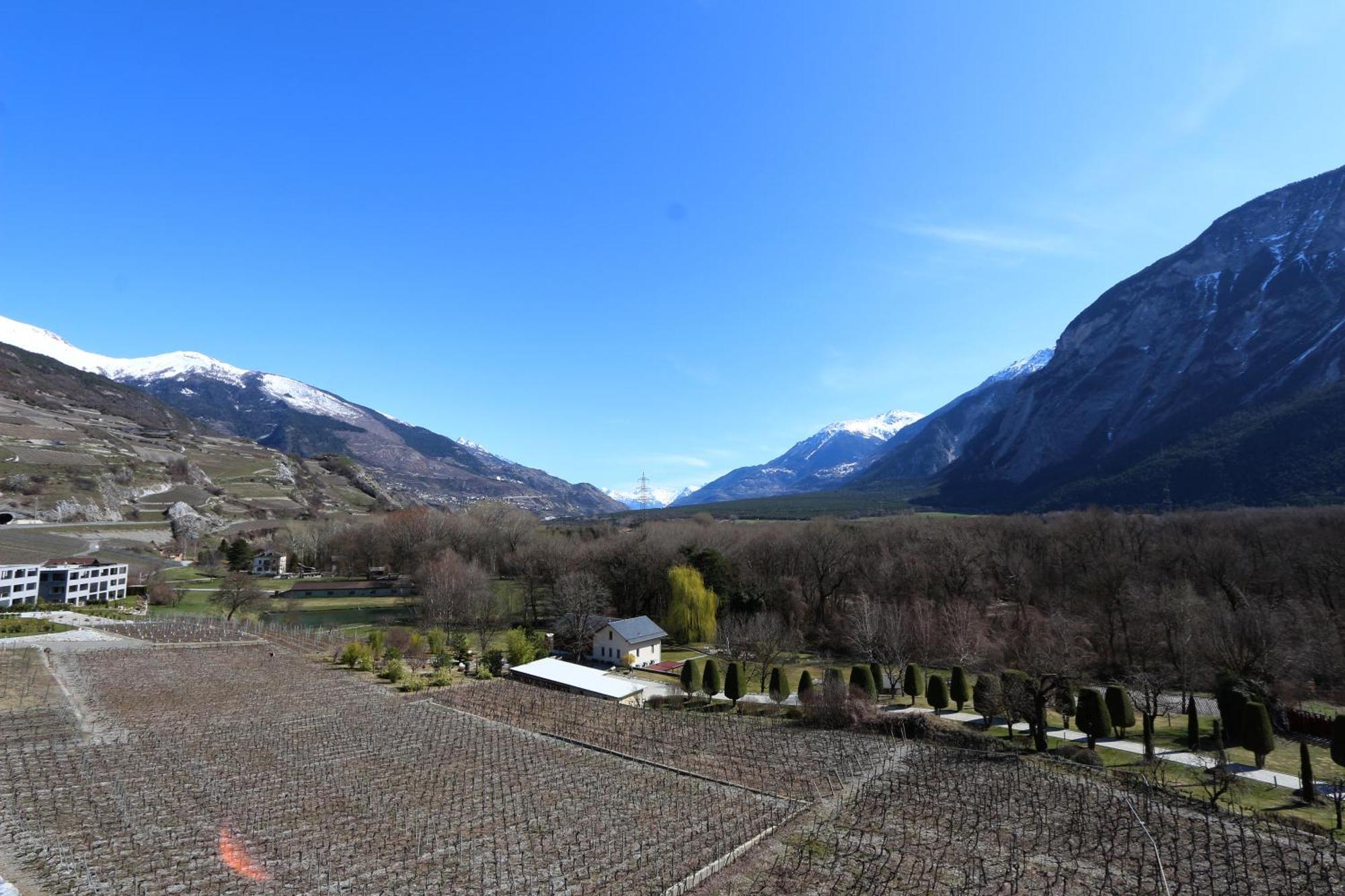 Bnb Vino Veritas Salgesch エクステリア 写真