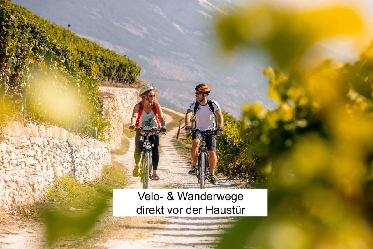 Bnb Vino Veritas Salgesch エクステリア 写真