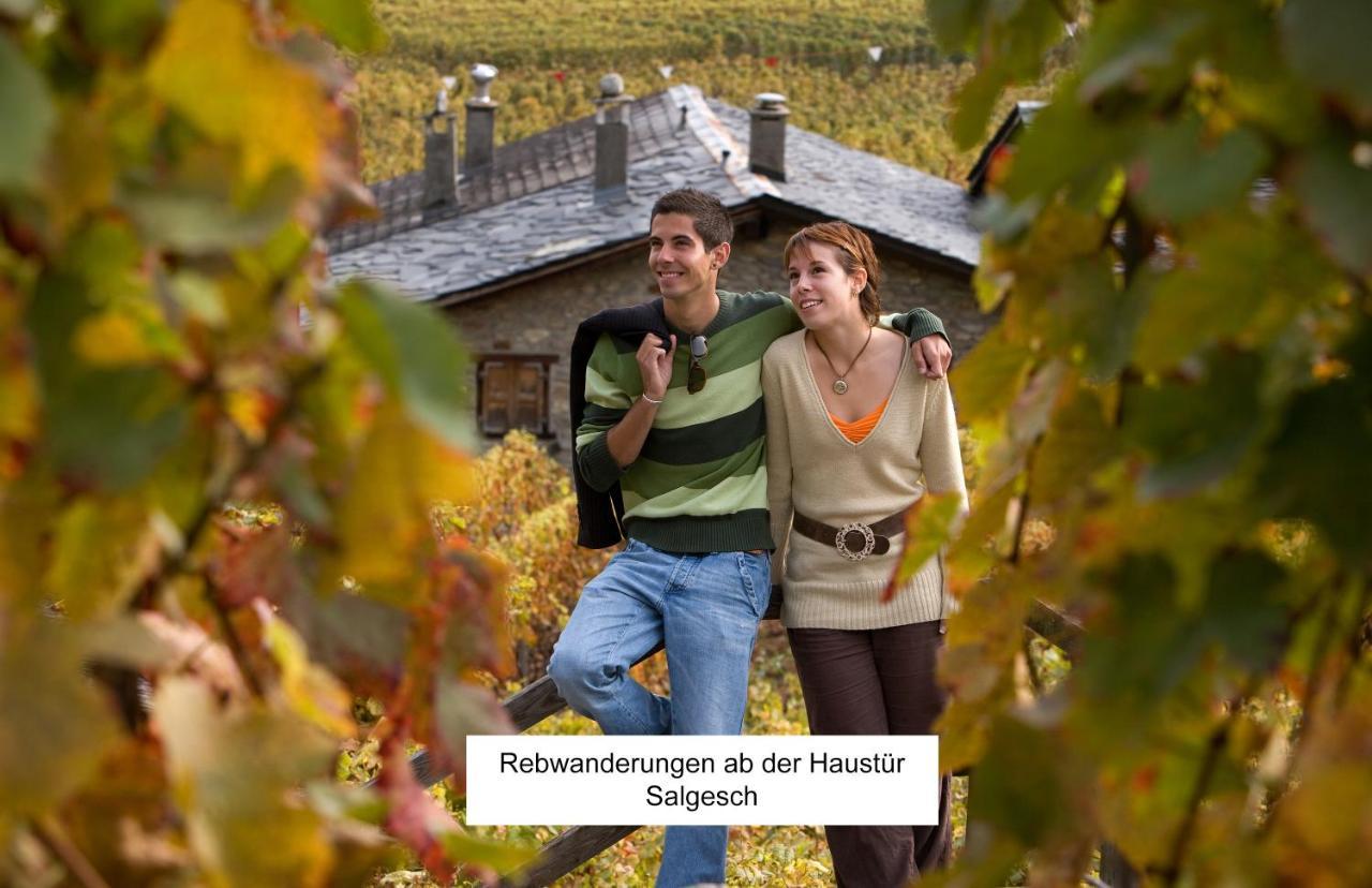 Bnb Vino Veritas Salgesch エクステリア 写真